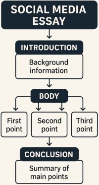 Social Media Essay structure